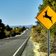 Illustration for article titled Go ahead, California, enjoy that roadkill